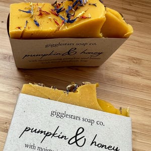 Pumpkin Cinnamon & Honey Cold Process Artisan Soap | Fall Limited Edition | Palm Free | Moisturizing | Handmade Small Batch