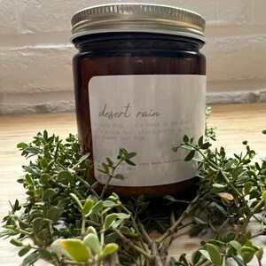 May include: A brown glass candle jar with a silver lid. The label reads "desert rain" and has text about the scent. The candle is sitting on a bed of green foliage.