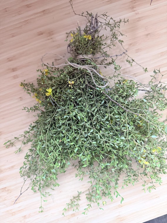 Fresh harvested Creosote Chaparral Shower Bundle