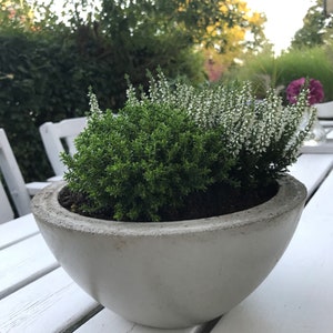 XL betongkruka | 24 x 11 cm | Betongskål, Kruka, Betongkruka, Fruktskål, Smal kant, Modern växtkruka, Gravskål