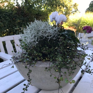XXL concrete planter large | 28 x 12 cm | Concrete bowl, planter, concrete pot, fruit bowl, wide rim, modern planter, grave bowl
