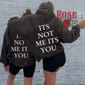 Its Not Me Its You Hoodie Sorority Hoodie Y2K Hoodie Aesthetic Clothing Trendy Hoodies Oversized Hoodie Aesthetic Clothes Brown Tumblr Hoodi