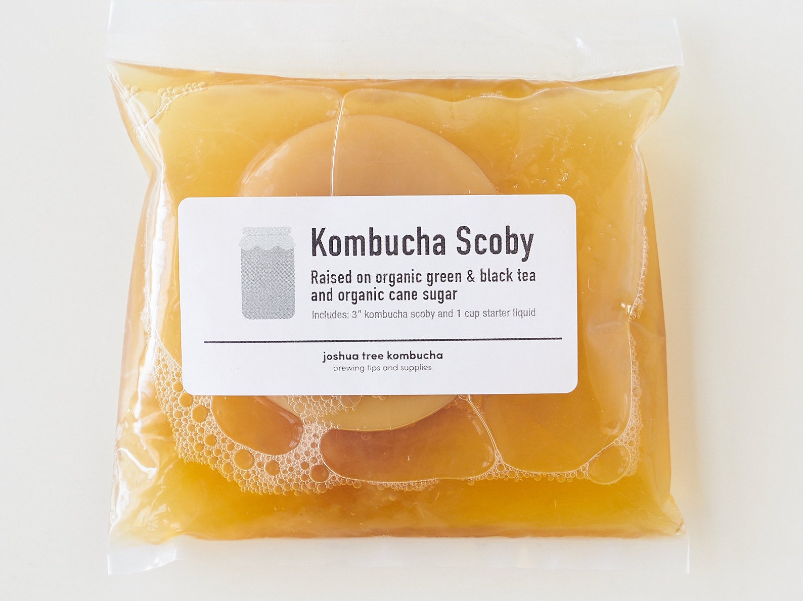 Kombucha Home Brew Starter Kit Includes SCOBY Culture and Etsy