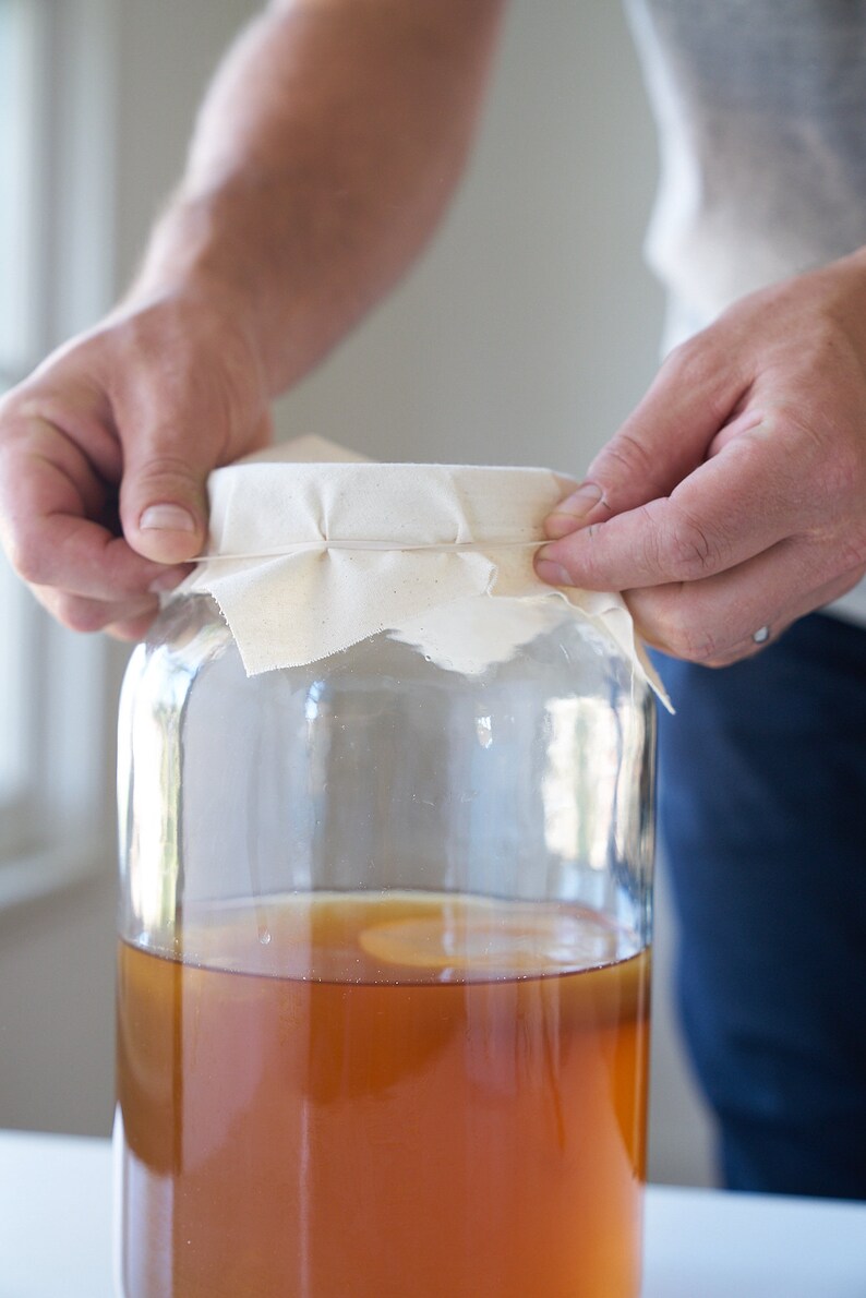 1 Gallon Glass Fermentation Jars Includes Airtight Lids Etsy UK