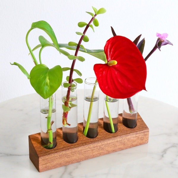 Solid Walnut Plant Propagation Station | Stand | Five Block | Single Glass Test Tubes | Modern Flower Vase / Tube | Minimalist Home Décor