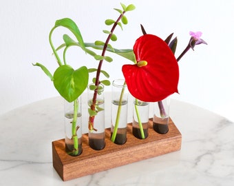 Solid Walnut Plant Propagation Station | Stand | Five Block | Single Glass Test Tubes | Modern Flower Vase / Tube | Minimalist Home Décor