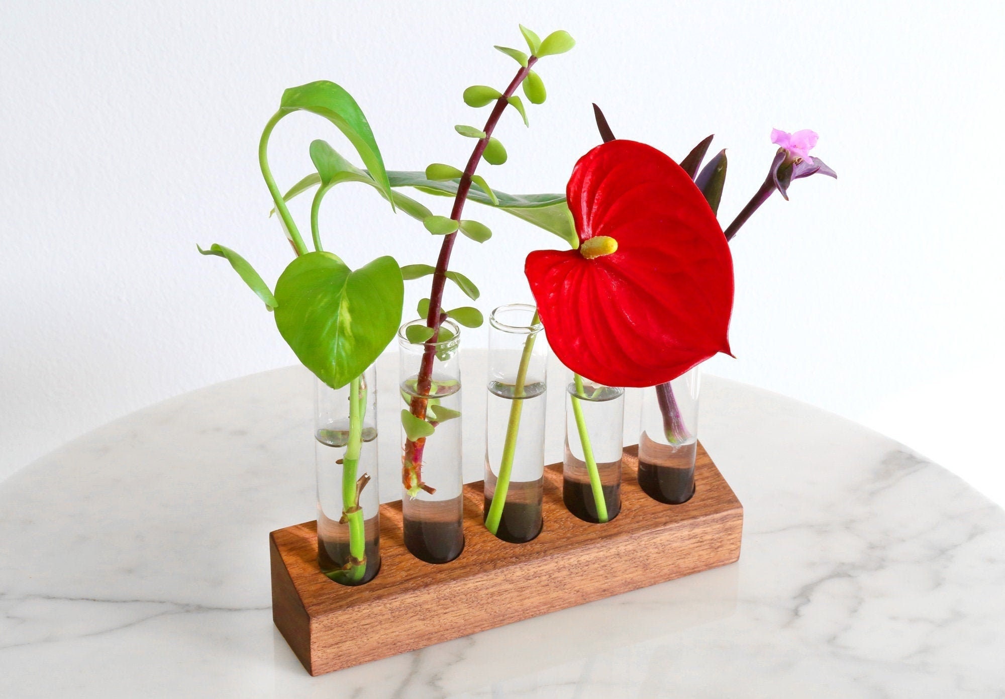 Chaand- Test Tube Planter with 4 test tubes – TheIndianRose