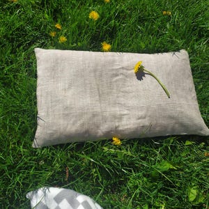 Organic Buckwheat Pillow: Linen Cover, Natural Sleep image 10