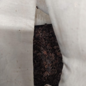 May include: A white fabric bag filled with buckwheat hulls. The bag is open at the top, revealing the brown hulls inside.
