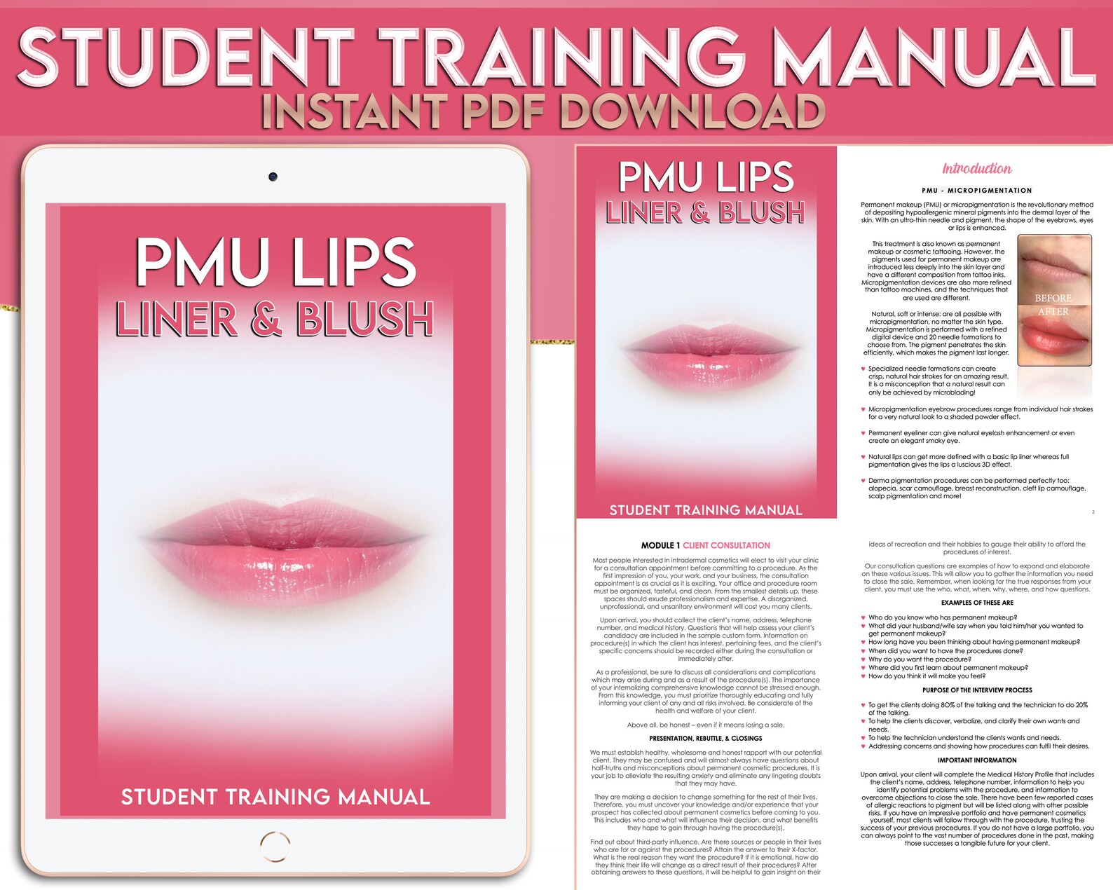 PMU Lips Liner Lip Blush Full Lip Tutor Student Etsy
