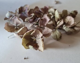 Dried  hydrangea flowers, dried for resin jewelry Resin delivery Mini  hydrangea flowers Various plant mixtures for resin  purple blue green
