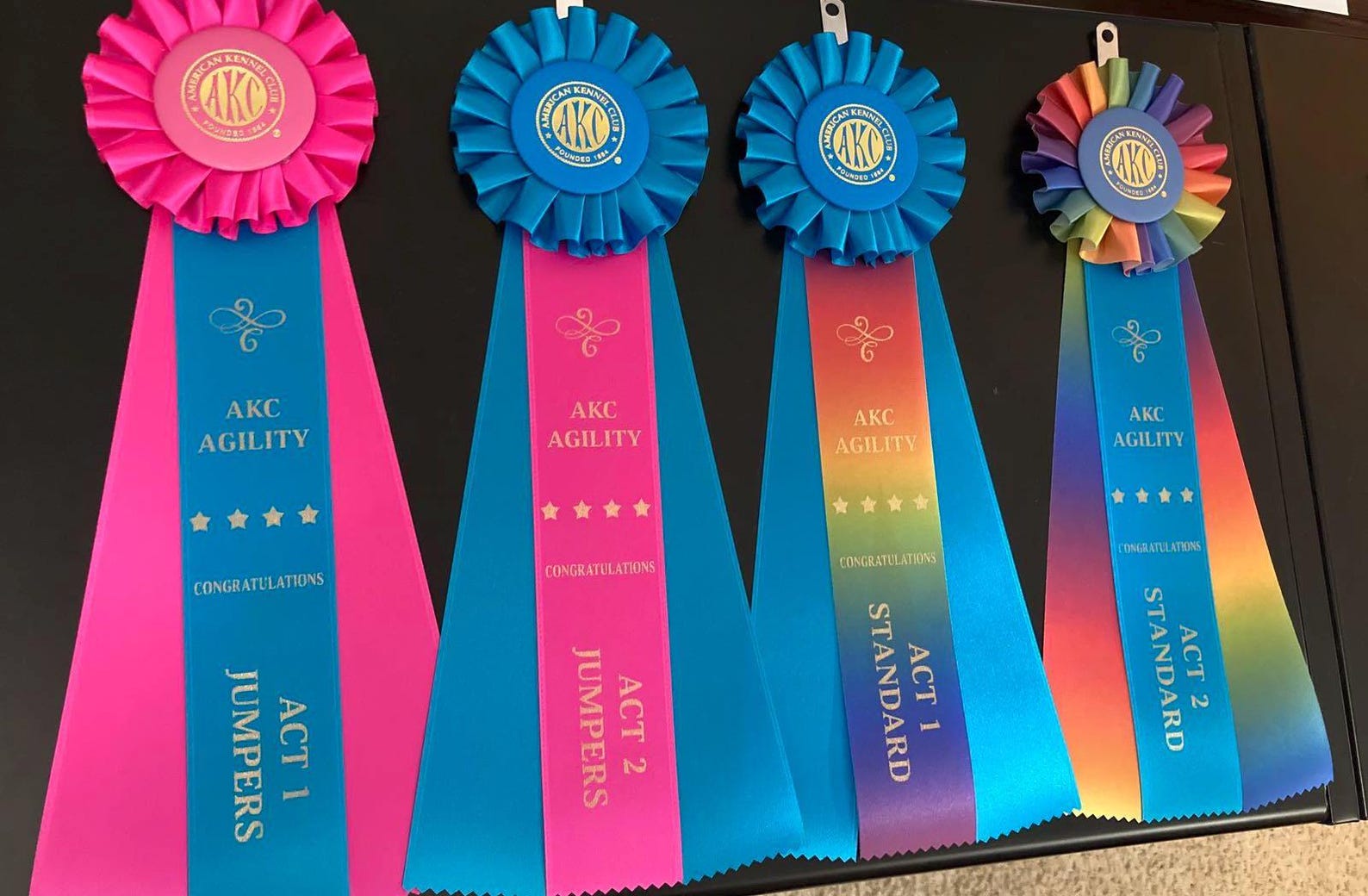 AKC ACT Agility Course Test Title Ribbon Rosette - ACT 1 2 Jumpers ...