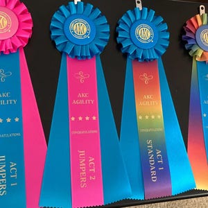 AKC ACT Agility Course Test Title Ribbon Rosette - ACT 1 2 Jumpers Standard (Rosette Center Style Varies, see item description)