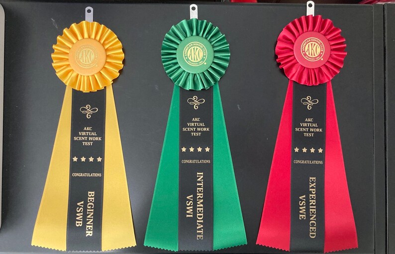 May include: Three black and gold ribbons with the text "AKC Virtual Scent Work Test" and the words "Beginner", "Intermediate", and "Experienced" printed on them.
