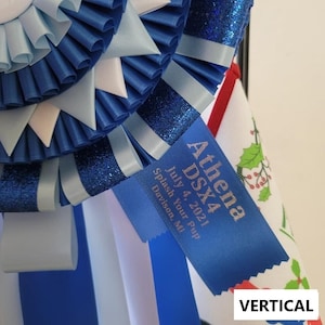 Personalized Award Ribbon Side Tabs - (DOES NOT Include Rosette! 4-5&quot; side tab only!)