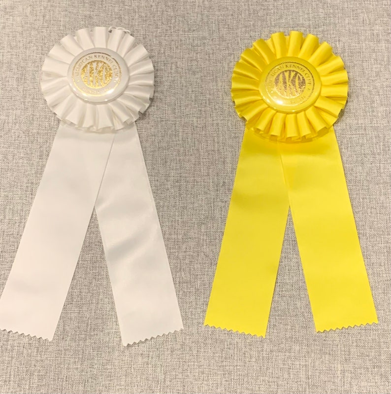AKC Virtual Obedience Title Ribbon Rosette Beginner Novice Etsy