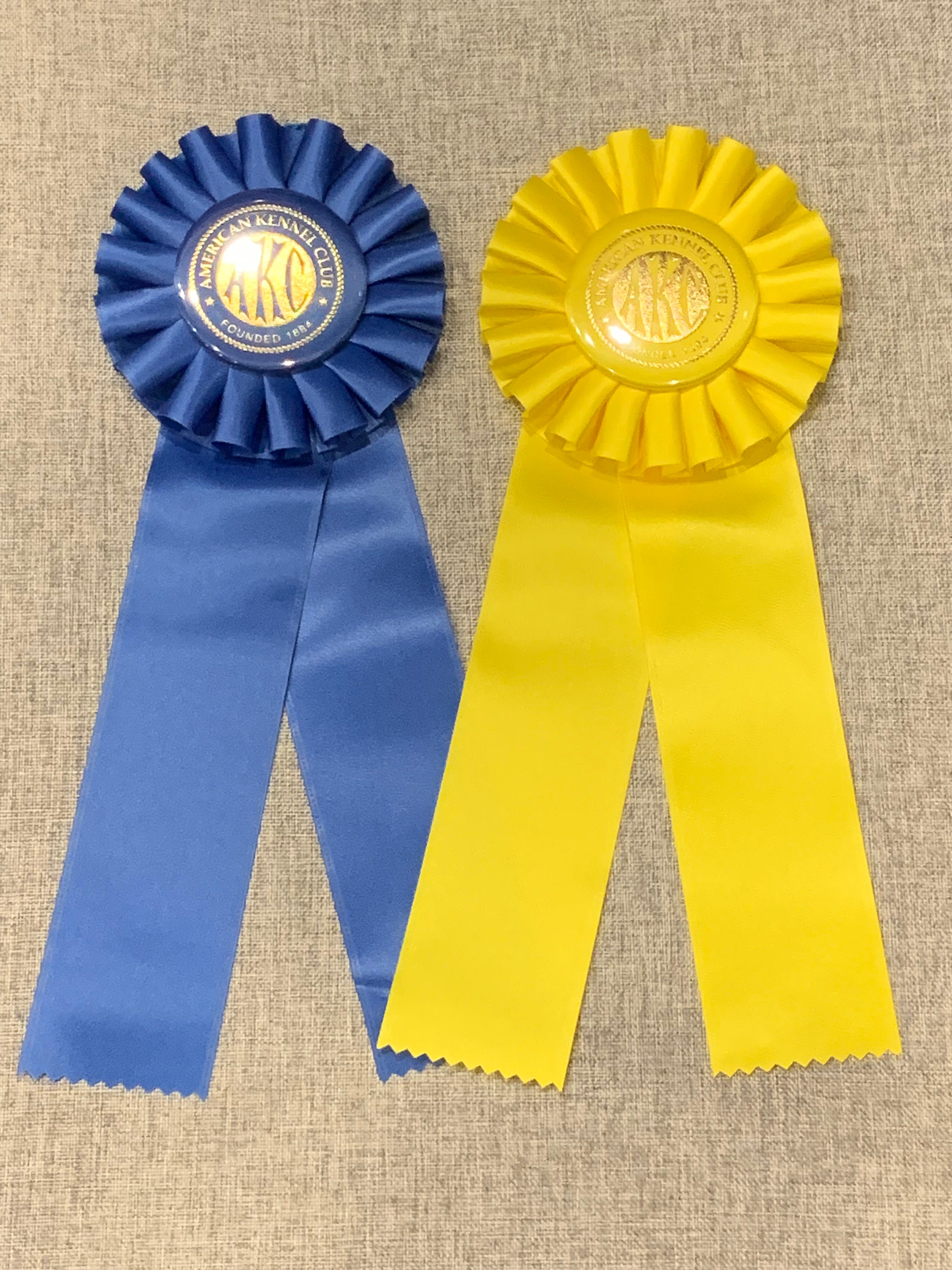AKC Virtual Obedience Title Ribbon Rosette Beginner Novice Etsy