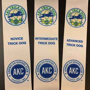 AKC Trick Dog ~ Canine Good Burger ~ Virtuelle Hausmannieren ~ Sternwelpe Flache Titelband