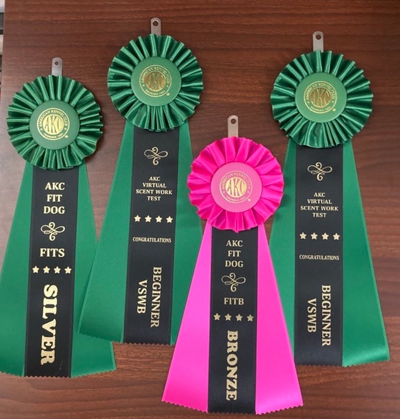 May include: Three green and one pink ribbons with black stripes and gold lettering. The ribbons say "AKC Fit Dog" and "AKC Virtual Scent Work Test". The ribbons also have the words "Fits", "Silver", "Fitb", "Bronze", "Beginner VSWB", and "Congratulations".