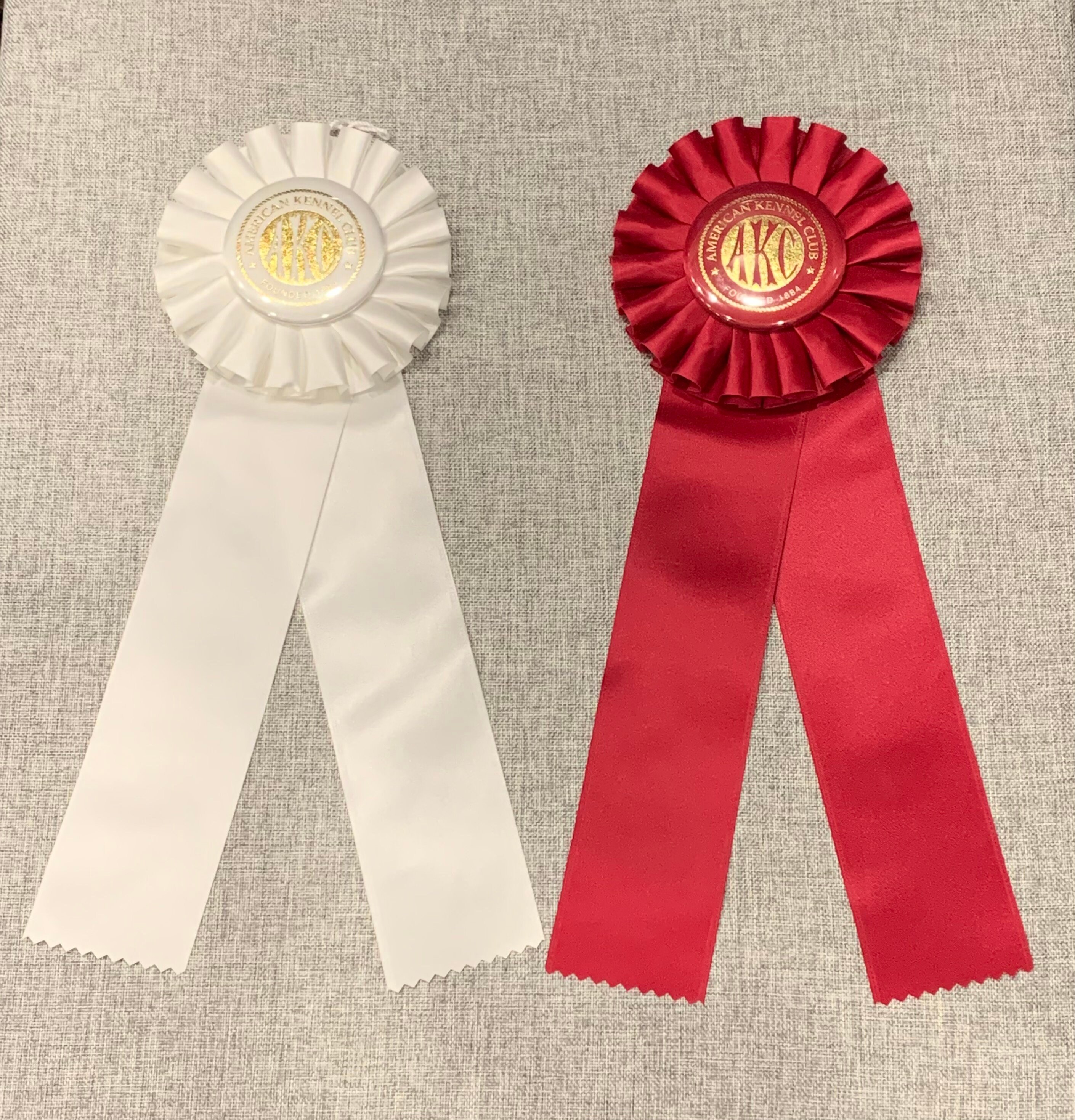 AKC Virtual Obedience Title Ribbon Rosette Beginner Novice Etsy