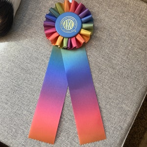 May include: A rainbow-coloured rosette with a blue centre featuring the text "American Kennel Club AKC Since 1884" in gold lettering. The rosette is attached to a long, ombre ribbon with a gradient of orange, red, purple, and blue.