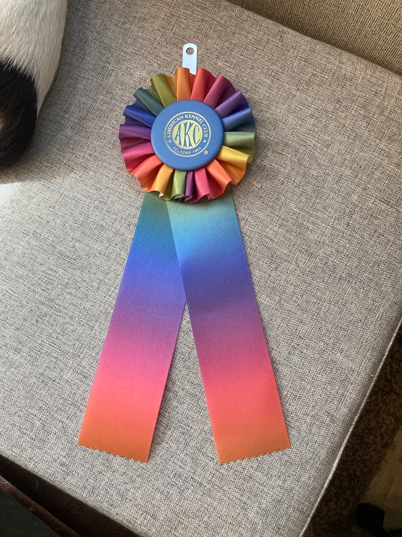 May include: A rainbow-coloured rosette with a blue centre featuring the text "American Kennel Club AKC Since 1884" in gold lettering. The rosette is attached to a long, ombre ribbon with a gradient of orange, red, purple, and blue.