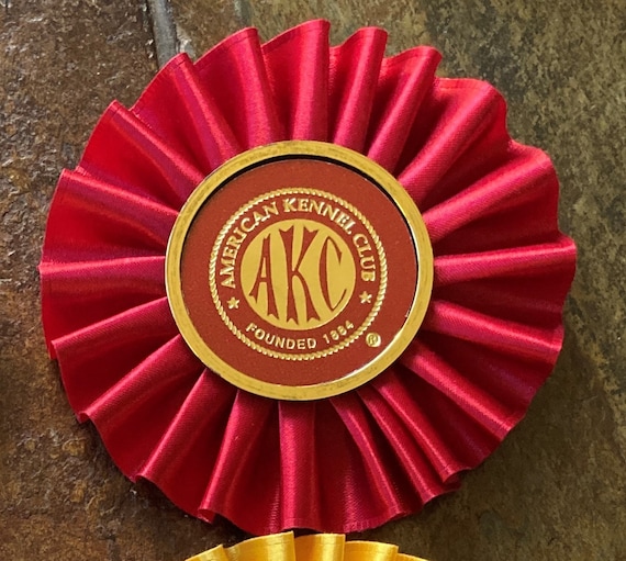 How I Store My Dog Sport Flat Ribbons and Certificates - AKC UKC Binder 