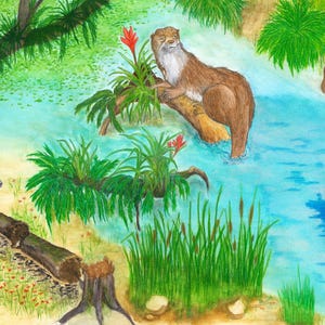 OTTER WETLAND- Watercolor Art Print/Giclée Reproduction - Wall Art bild 1