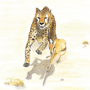 K&ouml;nnte beinhalten: Aquarellmalerei eines Geparden, der eine Gazelle durch eine sandige Landschaft jagt. Der Gepard wird mit seinem charakteristischen gefleckten Fell dargestellt, w&auml;hrend die Gazelle davonl&auml;uft. Das Kunstwerk f&auml;ngt die dynamische Bewegung und Intensit&auml;t der Jagd ein.
