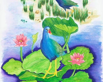 PURPLE GALLINULE on LILYPAD - Watercolor Art Print/Giclée Reproduction - Wall Art