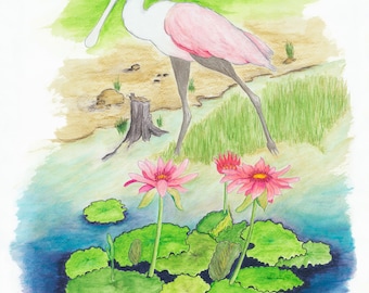 ROSETTE SPOONBILL with LILYPAD - Watercolor Art Print/Giclée Reproduction - Wall Art
