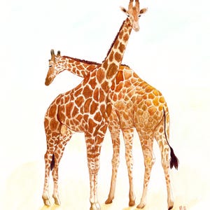 May include: Watercolour painting of two giraffes standing close together. The giraffes have brown and white patterned coats, long necks, and small horns. The background is a soft, off-white colour.