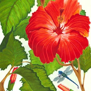 Pode incluir: Uma pintura de uma grande e vibrante flor de hibisco vermelha em plena flora&ccedil;&atilde;o, rodeada por folhas verdes exuberantes e dois bot&otilde;es fechados. Uma lib&eacute;lula azul com asas detalhadas e transl&uacute;cidas est&aacute; posicionada no canto inferior direito. Assinado R. Burris.