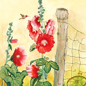 Op de afbeelding: Een aquarelschilderij met hoge rode en roze stokrozen in bloei, een kleine kolibrie in de vlucht, een verweerde houten hekpaal met gaas en een roestig metalen wiel op de grond tegen een zachte gele achtergrond.