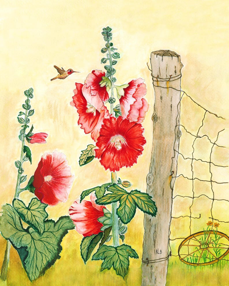 Op de afbeelding: Een aquarelschilderij met hoge rode en roze stokrozen in bloei, een kleine kolibrie in de vlucht, een verweerde houten hekpaal met gaas en een roestig metalen wiel op de grond tegen een zachte gele achtergrond.