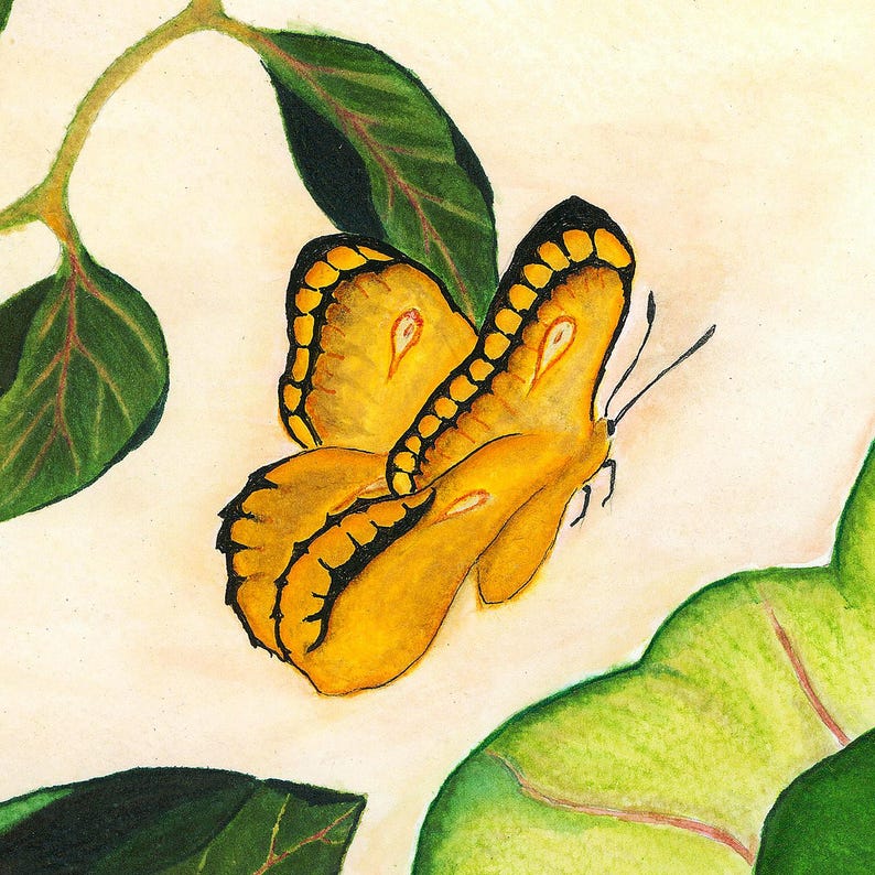 Puede incluir: Una pintura de acuarela de una mariposa amarilla vibrante con alas bordeadas de negro y peque&ntilde;as marcas blancas, situada entre varias hojas verdes con venas visibles sobre un fondo de color crema claro.