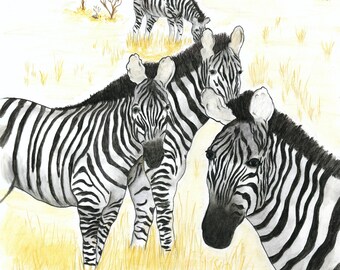ZEBRAS - Watercolor Art Print/Giclée Reproduction - Wall Art