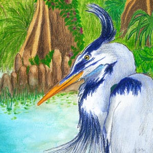 May include: A coloured pencil drawing of a great blue heron with a long orange beak, a dark blue crest, and white and blue plumage. The bird is positioned in profile against a background of green foliage, brown tree trunks, and blue water.