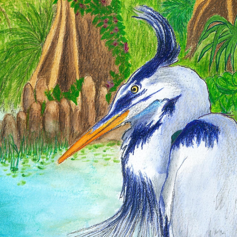 May include: A coloured pencil drawing of a great blue heron with a long orange beak, a dark blue crest, and white and blue plumage. The bird is positioned in profile against a background of green foliage, brown tree trunks, and blue water.