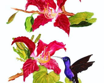 HUMMINGBIRD on ORCHID TREE - Watercolor Art Print/Giclée Reproduction - Wall Art