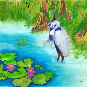 Op de afbeelding: Een kleurpotloodtekening van een grote blauwe reiger die in een felblauwe vijver staat. De sc&egrave;ne bevat levendige groene leliebladeren, roze waterlelies, een kleine groene kikker en een weelderige moerassige achtergrond met bomen.