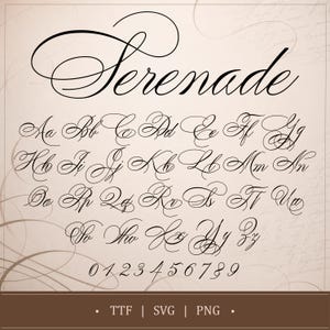 May include: A complete black Serenade font set, including uppercase and lowercase letters, and numbers 0-9. The elegant, cursive font is displayed on a beige background with decorative swirls and the file types TTF, SVG, and PNG.