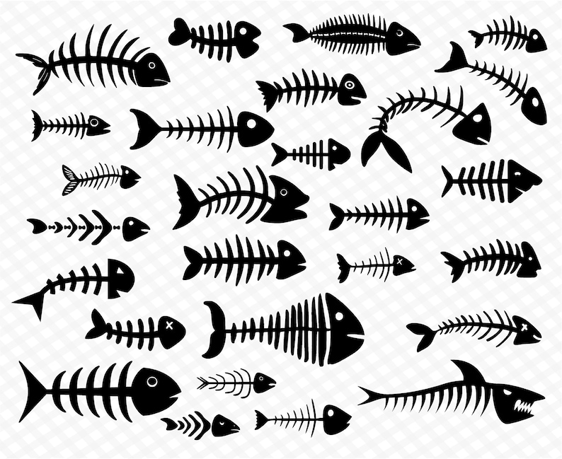 Fish Skeleton Svg Fish Skull Svg Fish Bone Svg Fish Svg - Etsy