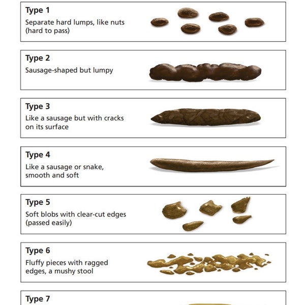 Bristol Stool Chart Poster, Health Poster, Healthy Poop, Medical Laboratory Scientist