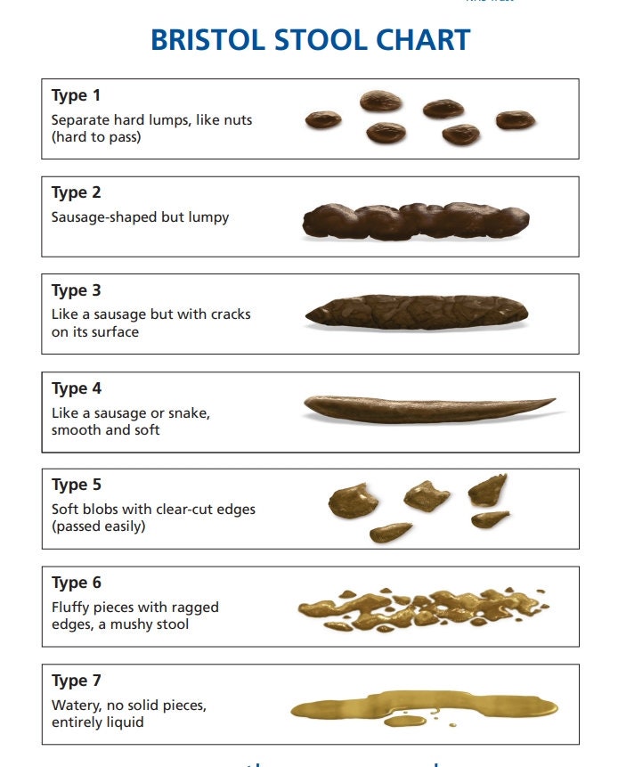 Bristol Stool Chart Poster, Health Poster, Healthy Poop, Medical ...