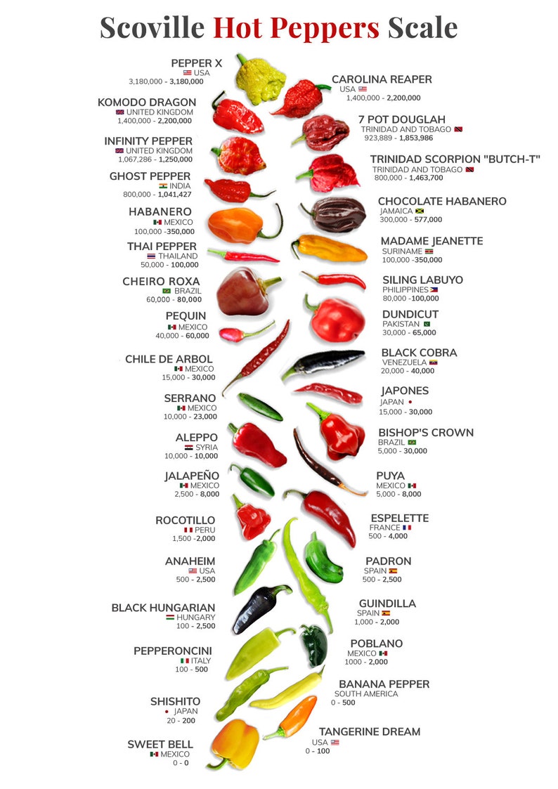 Scoville Hot Peppers Scale Poster, Kitchen Wall Art, Chef Gift, Chili Pepper Art, Chili Pepper Decor image 1