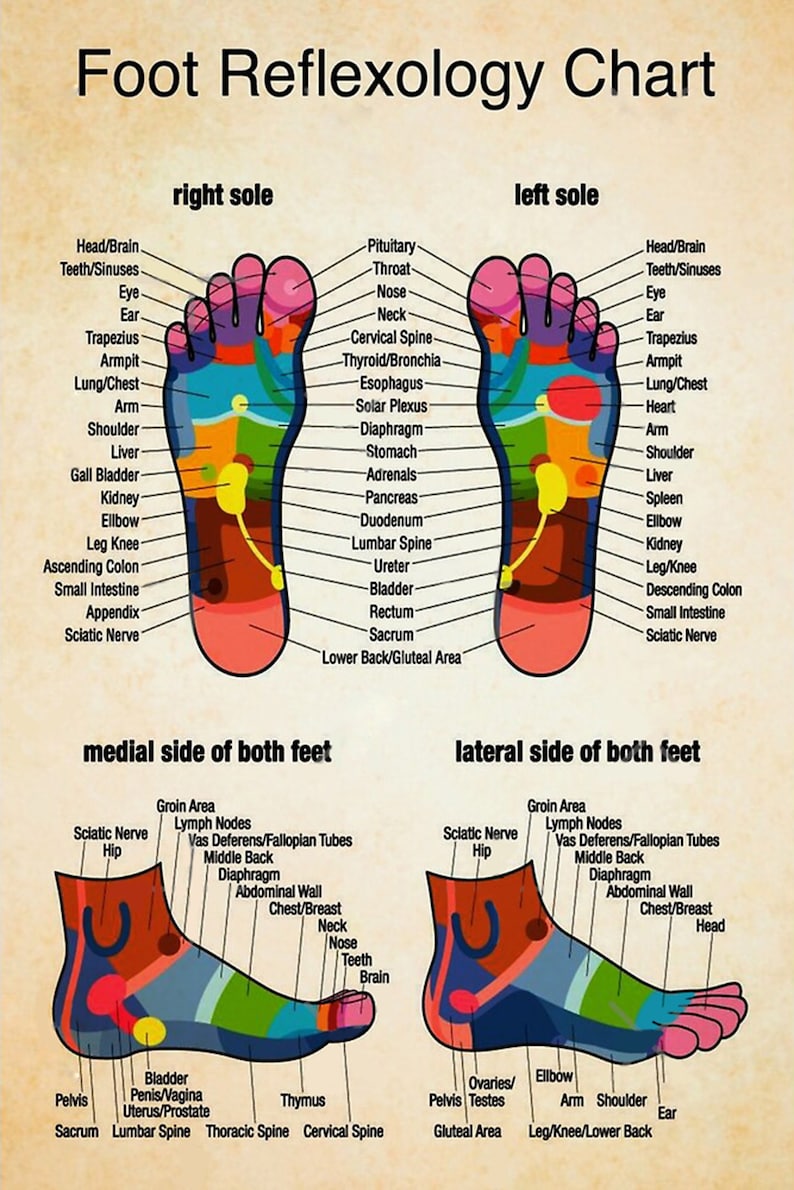 Massage Therapist Foot Reflexology Chart 1 Poster, Vintage Poster - Etsy