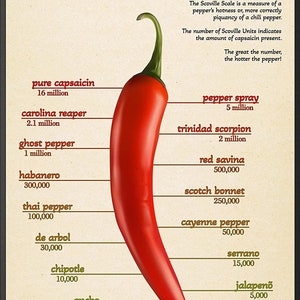 Know Your Scoville Heat Scale Wall Art, Spiciness and Pungency in Hot Pepper Food Knowledge Art Prints Kitchen Wall Decor