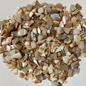 May include: A pile of small, iridescent seashells in various shades of white, beige, and brown. The shells are irregular in shape and size, with some having a pearly sheen.