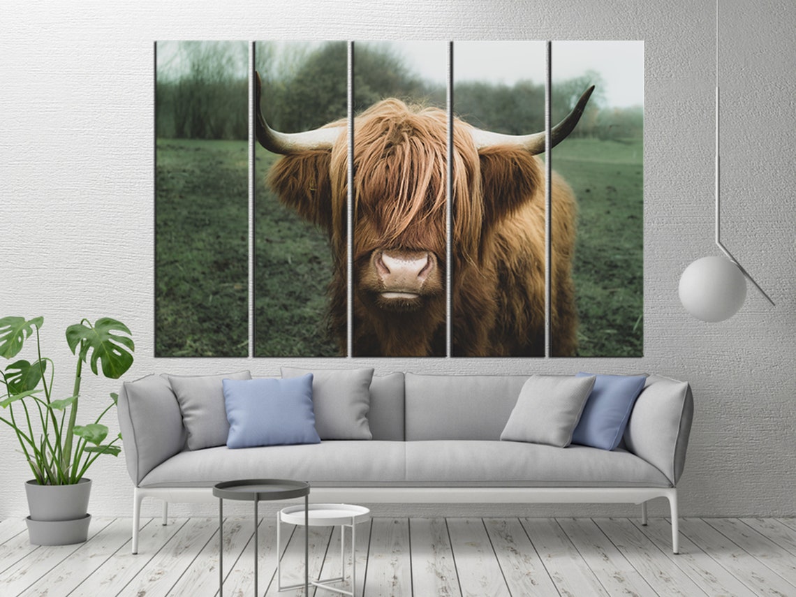 Scottish Highland Cow Wall Art / Animal Wall Art / Long Haired | Etsy